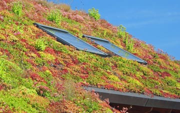 Winnards Perch living roof systems