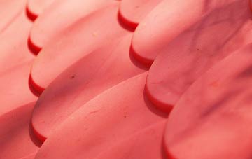 Winnards Perch plastic roof costs