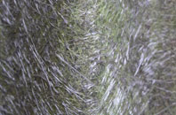 Winnards Perch fibreglass roof work